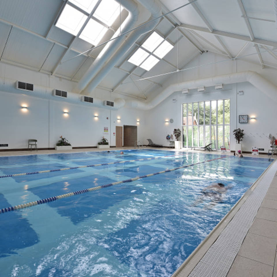 Swim Image